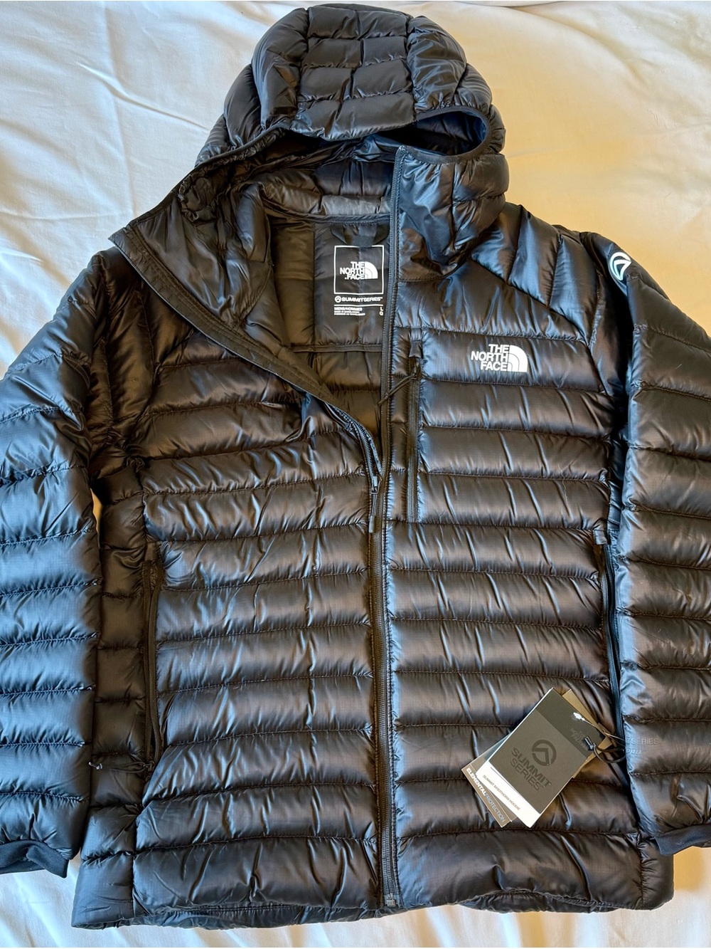 The North Face Men's Black Puffer Hooded Down Jacket Summit Series 800